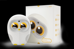 以至星座运势解读一